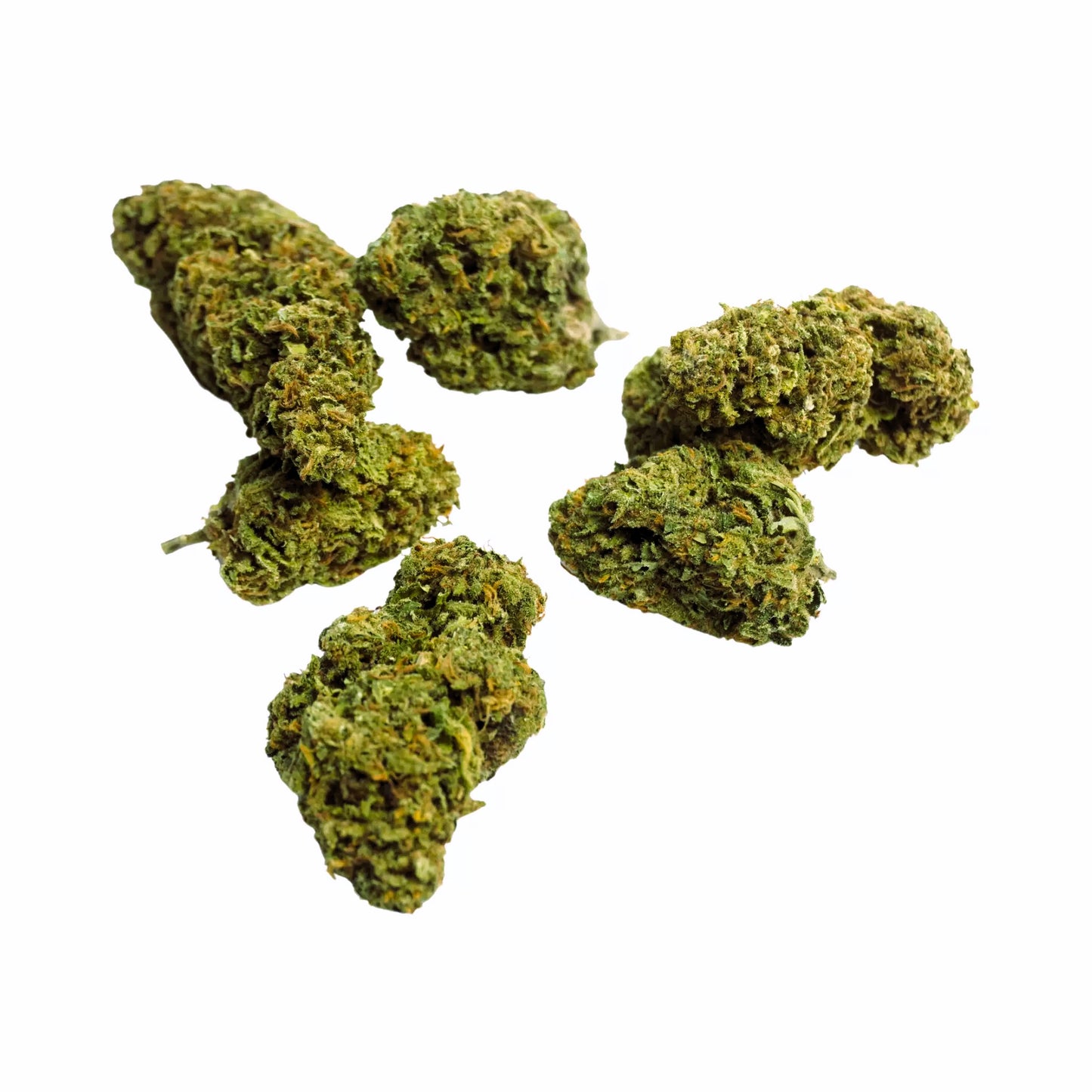 Provençal black candy sous serre Top Bud