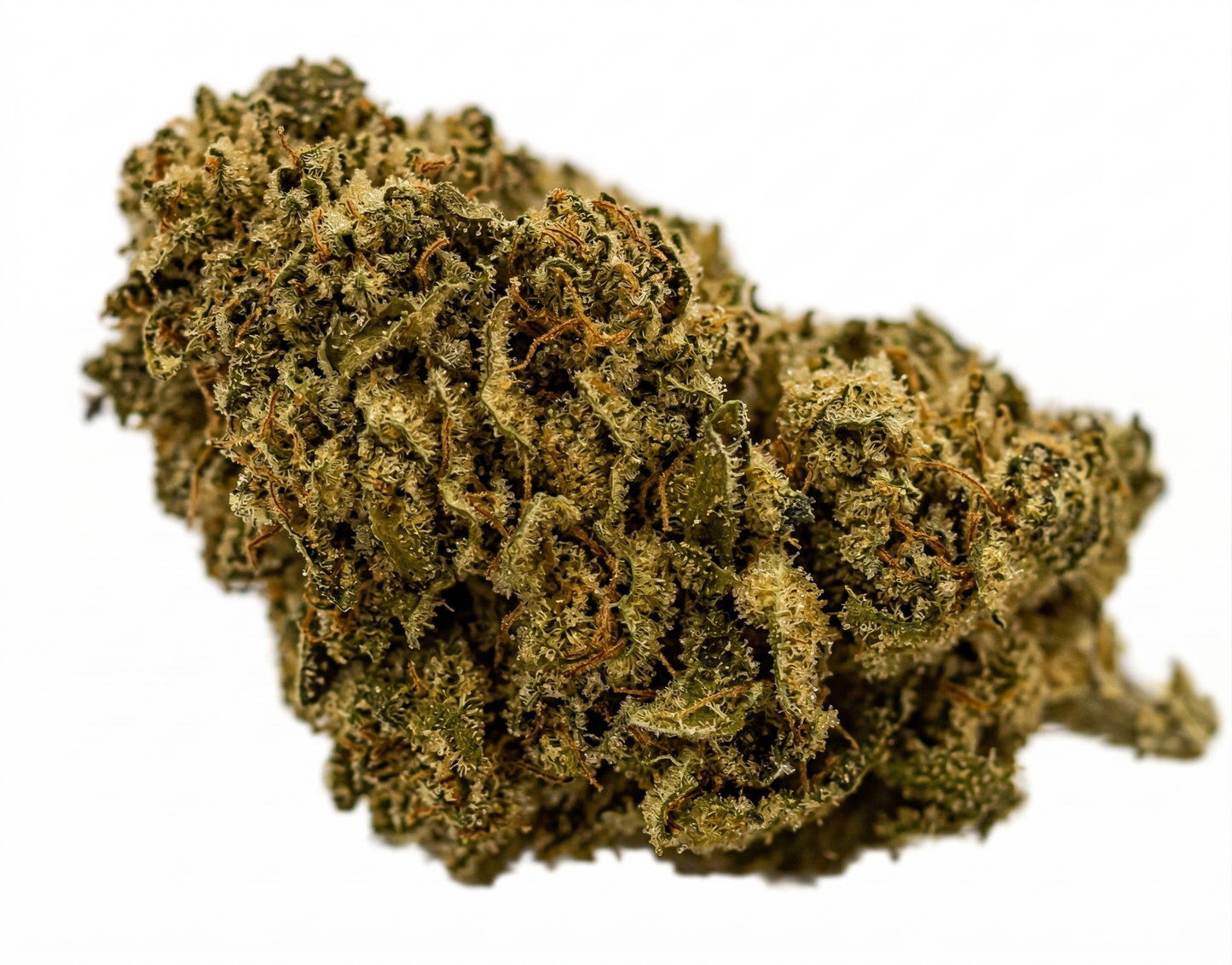 Orange Bud origine Bretagne